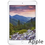 Ремонт Apple iPad mini 2 в Владивостоке