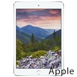 Ремонт Apple iPad mini 3 в Владивостоке