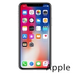 Ремонт iPhone X(10) в Владивостоке